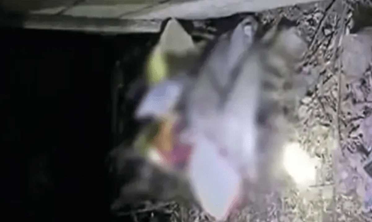 रायपुर में लापता बच्ची की लाश मिली, 7 दिन पहले घर के सामने से गायब हुई थी मासूम